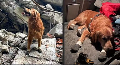 Depremde 18 Can Kurtaran Killian Yaşamını Yitirdi