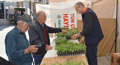 Havza Ziraat Odası'nda Fide Satışları Başladı