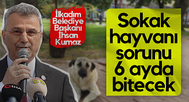 İlkadım Belediye Başkanı İhsan Kurnaz: Sokak Hayvanı Sorunu 6 Ayda Bitecek