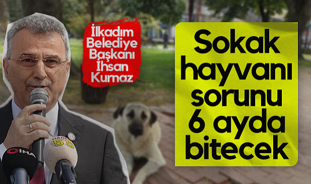 İlkadım Belediye Başkanı İhsan Kurnaz: Sokak Hayvanı Sorunu 6 Ayda Bitecek