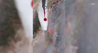 İzmir'de Foça ve Urla'da Peş Peşe Orman Yangınları
