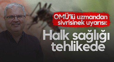 OMÜ’lü Uzmandan Sivrisinek Uyarısı: Halk Sağlığı Tehlikede