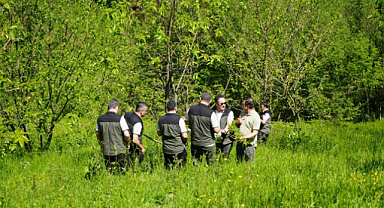 Samsun’da Kestane Gal Arısına Karşı Biyolojik Mücadele