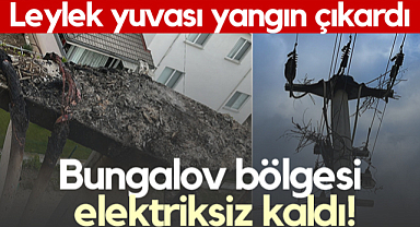 Samsun'da Leylek Yuvası Yangın Çıkardı! Bungalov Bölgesi Elektriksiz Kaldı...