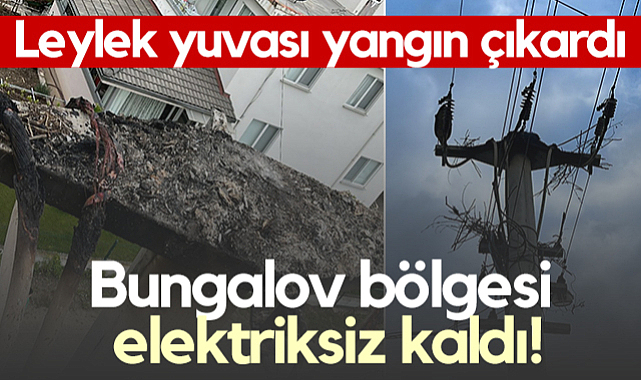 Samsun'da Leylek Yuvası Yangın Çıkardı! Bungalov Bölgesi Elektriksiz Kaldı...