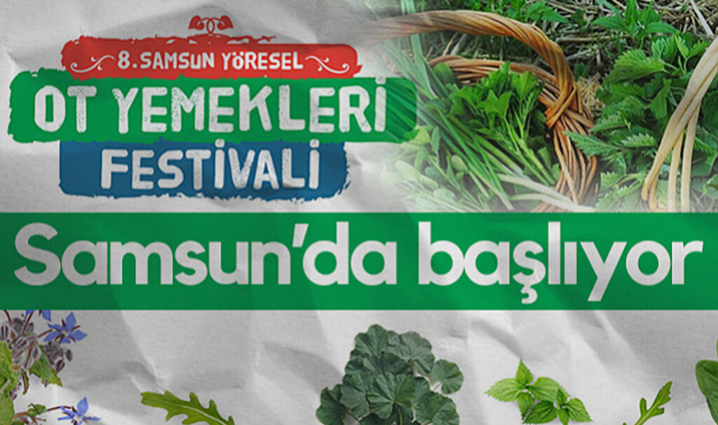 Samsun'da Ot Yemekleri Festivali Başlıyor