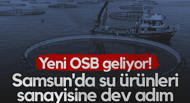 Samsun'da Su Ürünleri Sanayisine Dev Adım! Yeni OSB Geliyor...