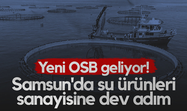 Samsun'da Su Ürünleri Sanayisine Dev Adım! Yeni OSB Geliyor...