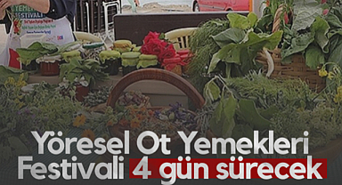 Samsun'da Yöresel Ot Yemekleri Festivali 4 Gün Sürecek