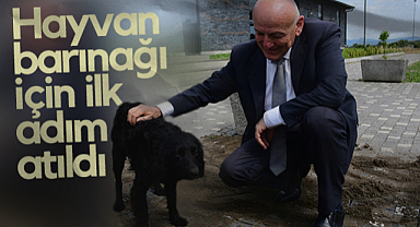 Terme'de Hayvan Barınağı İçin İlk Adım Atıldı