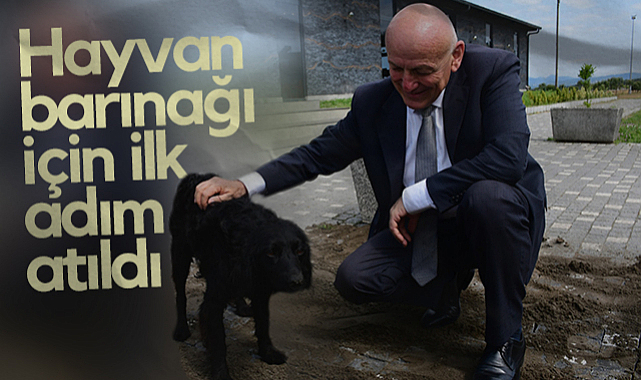 Terme'de Hayvan Barınağı İçin İlk Adım Atıldı