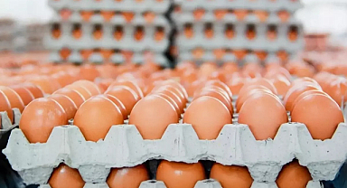 Yumurta Fiyatı Yüzde 50 Düştü, Market Etiketi Yerinden Oynamadı!