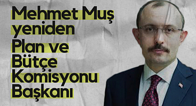 AK Parti Samsun Milletvekili Mehmet Muş Yeniden Plan ve Bütçe Komisyonu Başkanı