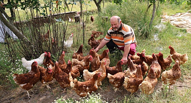 Alaçam’da Doğal Yaşamın Adresi: Gezen Tavuktan Dalından Çileğe