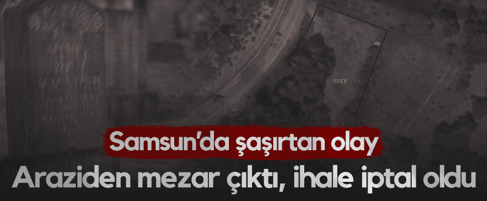 Araziden Mezar Çıktı, Bungalov İhalesi İptal Oldu! Samsun'da Şaşırtan Olay...