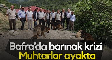 Bafra’da İzinsiz Barınağa Muhtarlardan Tepki