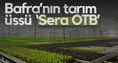 Bafra’nın Tarım Üssü Sera OTB'de Üretim Başladı