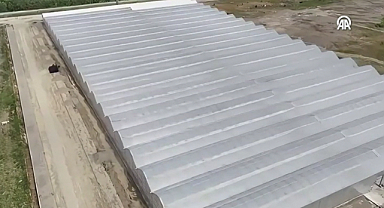 Bafra ve Çaycuma’da Sera Dönemi Başladı