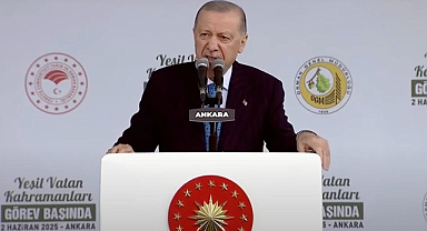 Cumhurbaşkanı Erdoğan: Ormanlarımız Ciddi Tehdit Altında