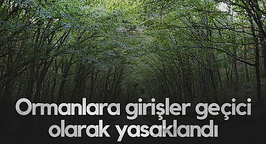Havza’da Ormanlara Girişler Geçici Olarak Yasaklandı