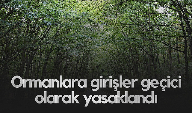 Havza'da Ormanlara Girişler Geçici Olarak Yasaklandı