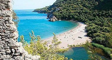 Kıyıdaki Ormanlara Turizm Yolu Açıldı: Resmi Gazete’de Yayımlandı
