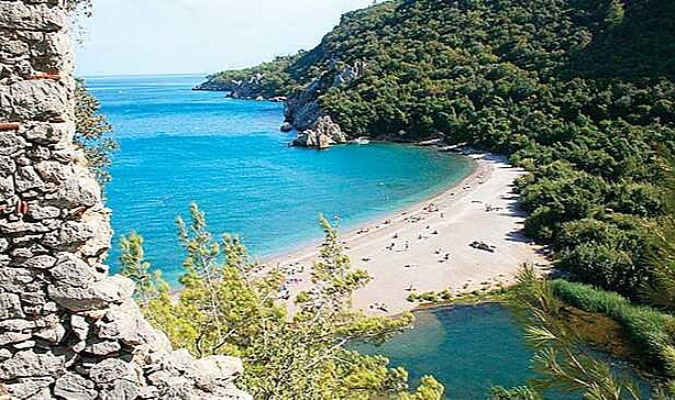 Kıyıdaki Ormanlara Turizm Yolu Açıldı: Resmi Gazete'de Yayımlandı