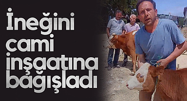 Ladik'te Cami İnşaatına İneğini Bağışladı
