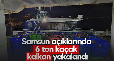 Samsun Açıklarında 6 Ton Kaçak Kalkan Yakalandı