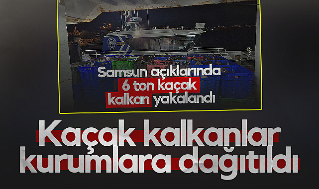 Samsun'da 6 Ton Kalkan Balığı Kurumlara Dağıtıldı