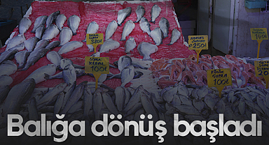 Samsun'da Bayram Sonrası Balığa Dönüş Başladı