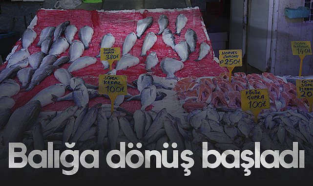 Samsun'da Bayram Sonrası Balığa Dönüş Başladı