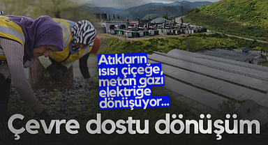 Samsun'da Çevre Dostu Dönüşüm: Atıkların Isısı Çiçeğe, Metan Gazı Elektriğe Dönüşüyor...