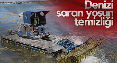 Samsun'da Denizi Saran Yosun Temizliği: Vatandaş Şikayetleri Üzerine Çalışmalar Başladı