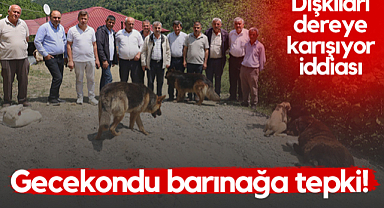 Samsun'da Gecekondu Barınağa Tepki! Dışkıları Dereye Karışıyor İddiası...