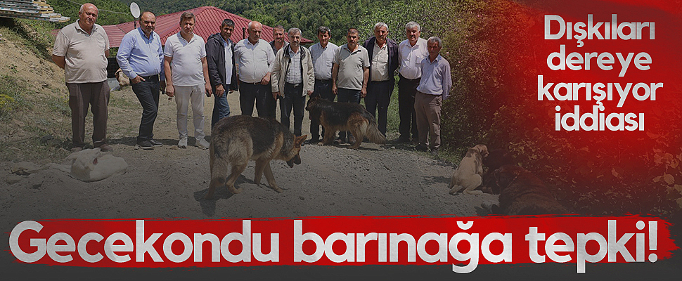 Samsun'da Gecekondu Barınağa Tepki! Dışkıları Dereye Karışıyor İddiası...