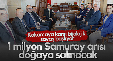 Samsun’da Kahverengi Kokarcaya Karşı Biyolojik Savaş Başlıyor