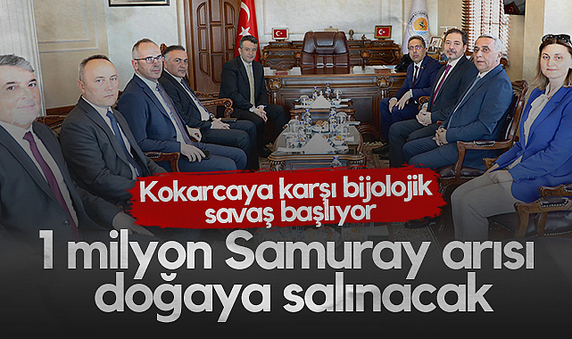 Samsun'da Kahverengi Kokarcaya Karşı Biyolojik Savaş Başlıyor