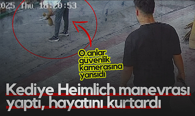 Samsun'da Kediye Heimlich Manevrası Yaptı, Hayatını Kurtardı