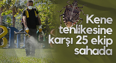 Samsun'da Kene Tehlikesine Karşı 25 Ekip Sahada