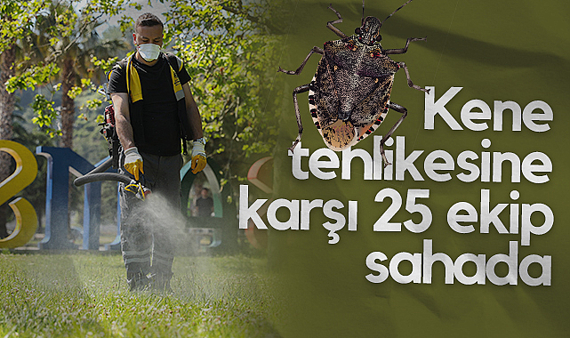 Samsun'da Kene Tehlikesine Karşı 25 Ekip Sahada