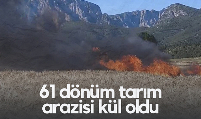Samsun'da Korkutan Yangın: 61 Dönüm Tarım Arazisi Kül Oldu