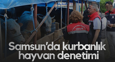 Samsun’da Kurbanlık Hayvan Denetimleri Başladı