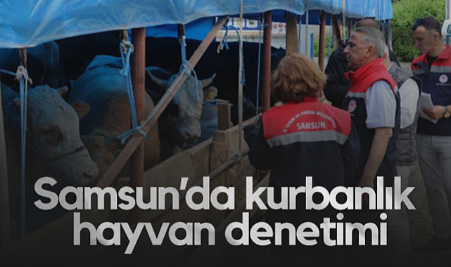 Samsun’da Kurbanlık Hayvan Denetimleri Başladı