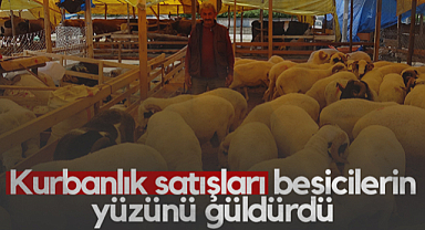 Samsun’da Kurbanlık Satışları Besicilerin Yüzünü Güldürdü