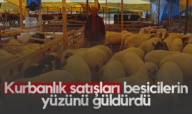 Samsun’da Kurbanlık Satışları Besicilerin Yüzünü Güldürdü