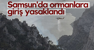 Samsun'da Ormanlara Giriş Yasaklandı: 19 Haziran-30 Ekim Arası Sıkı Tedbir
