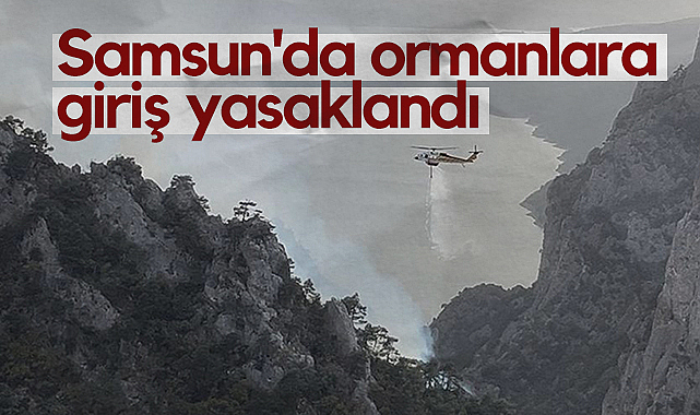 Samsun'da Ormanlara Giriş Yasaklandı: 19 Haziran-30 Ekim Arası Sıkı Tedbir