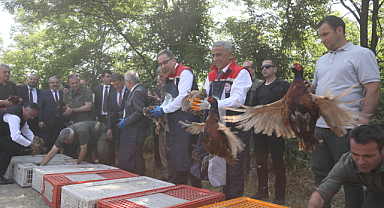 Samsun’da Tarım Seferberliği: Samuray Arısı ve Sülün Doğaya Salındı