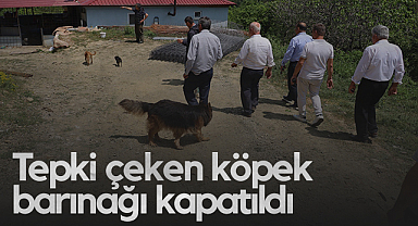 Samsun'da Tartışmalı Köpek Barınağı Mühürlenerek Kapatıldı